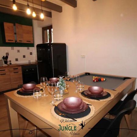 Maison "Jungle House" 90 M2 Billard, Retroprojecteur, Bar A Jeux , Vinyle, Wifi Fibre, Ideal Pro & Famille A Montbrison Exterior foto